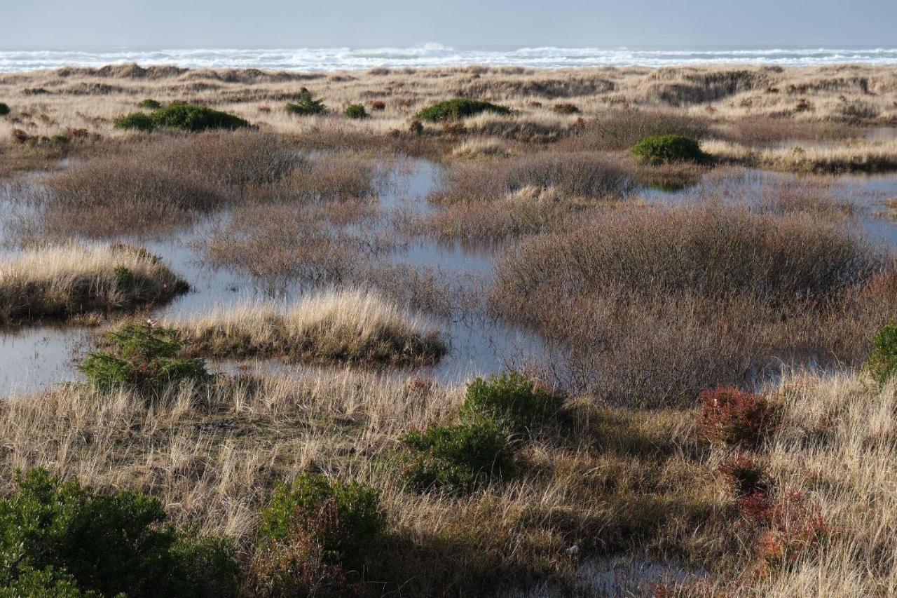 Tidal House 2 Villa Ocean Shores Eksteriør billede